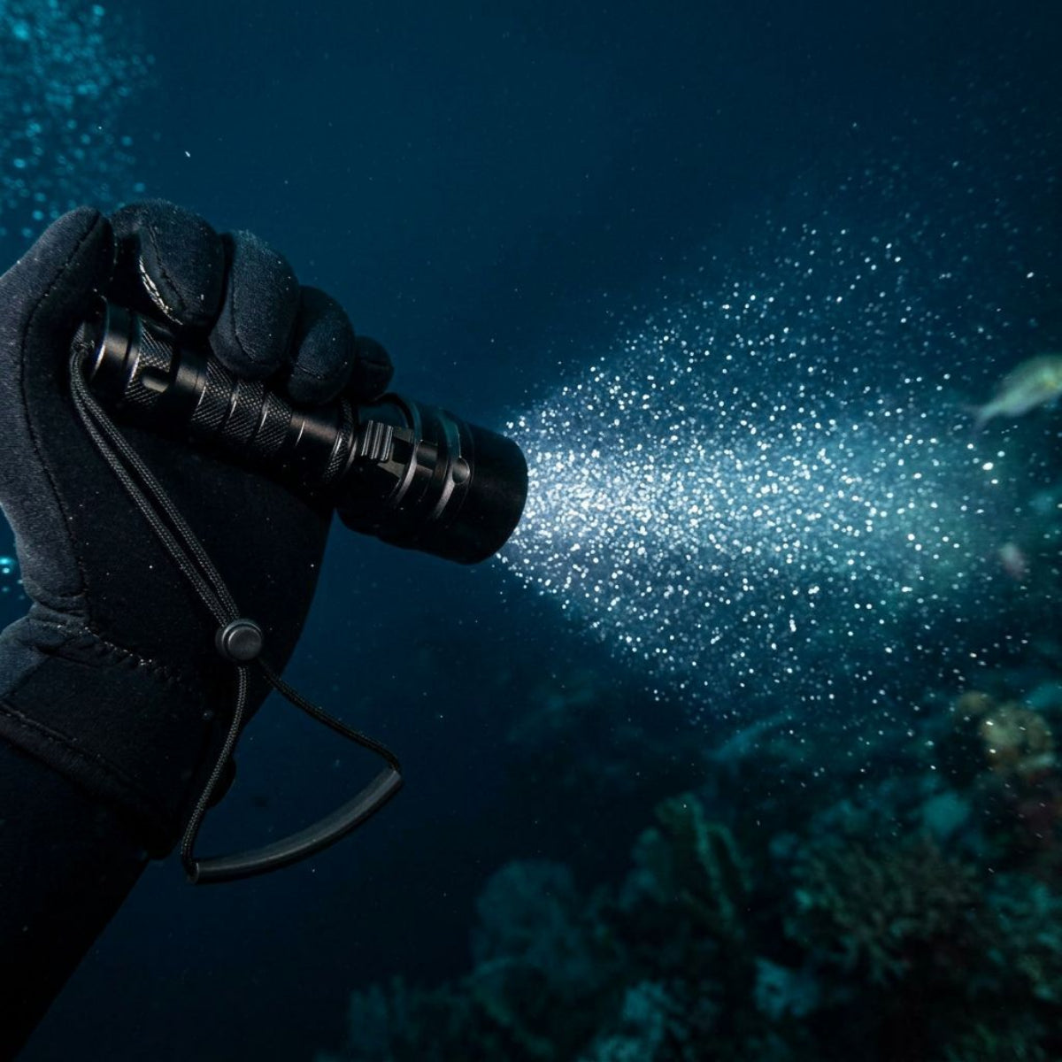 Professional Flashlight